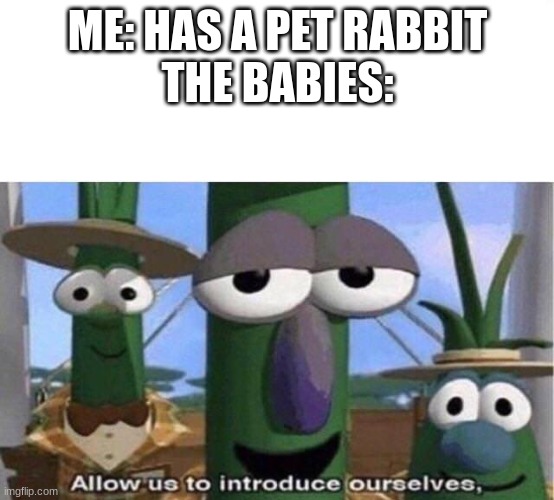 Veggie Tales | ME: HAS A PET RABBIT
THE BABIES: | image tagged in veggie tales | made w/ Imgflip meme maker