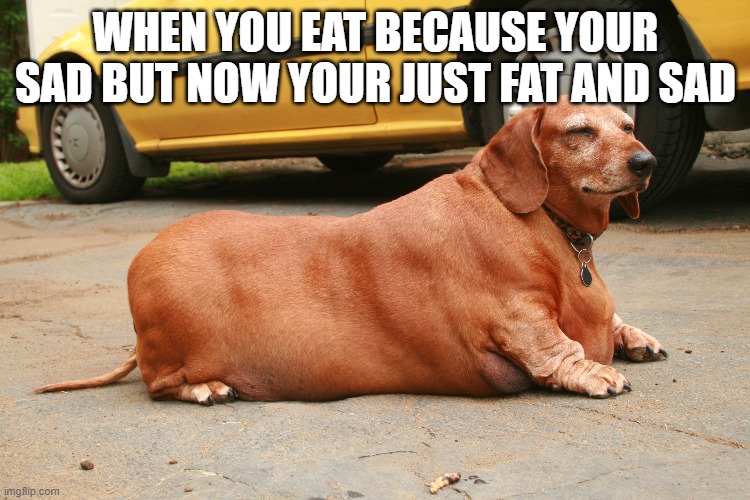 doge |  WHEN YOU EAT BECAUSE YOUR SAD BUT NOW YOUR JUST FAT AND SAD | image tagged in doge | made w/ Imgflip meme maker