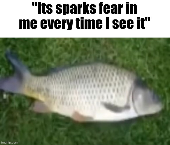 "Its sparks fear in me every time I see it" | made w/ Imgflip meme maker