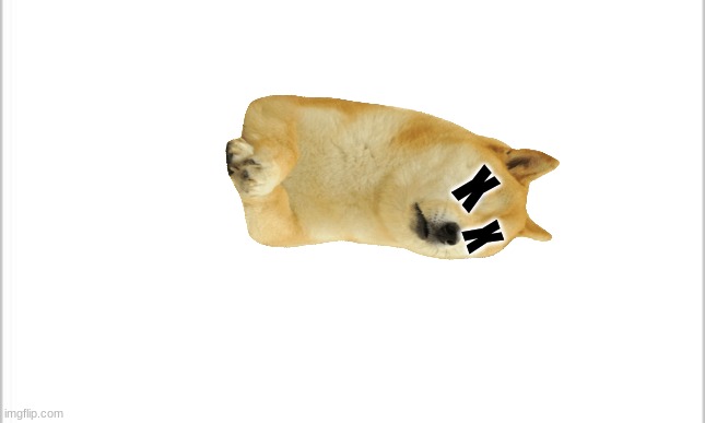Dead doge | X; X | image tagged in white background | made w/ Imgflip meme maker