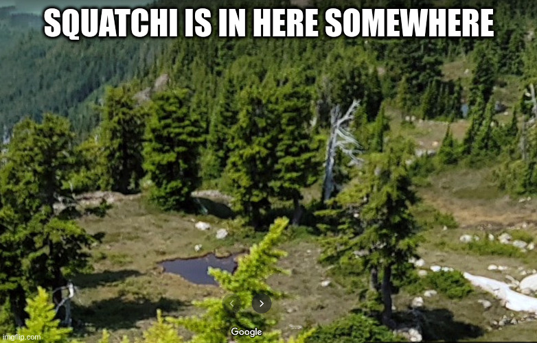 Bigfoot can hide really well | SQUATCHI IS IN HERE SOMEWHERE | image tagged in meme,sasquatch | made w/ Imgflip meme maker