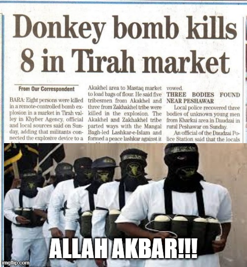 I Wonder If They...... | ALLAH AKBAR!!! | image tagged in headlines | made w/ Imgflip meme maker