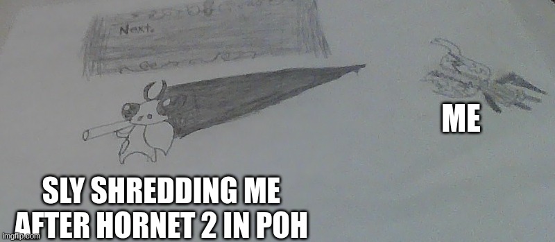 happened again | ME; SLY SHREDDING ME AFTER HORNET 2 IN POH | image tagged in sly and ghost,pantheon,sly,hollow knight,pain | made w/ Imgflip meme maker