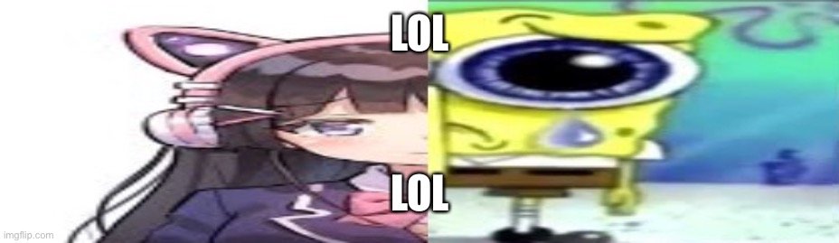 lol | LOL; LOL | image tagged in lol | made w/ Imgflip meme maker