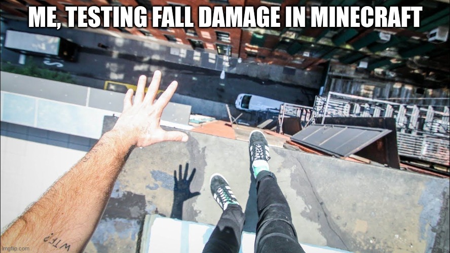 DAMAGE | ME, TESTING FALL DAMAGE IN MINECRAFT | image tagged in don't try this | made w/ Imgflip meme maker
