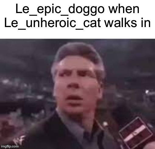 x when x walks in | Le_epic_doggo when Le_unheroic_cat walks in | image tagged in x when x walks in | made w/ Imgflip meme maker