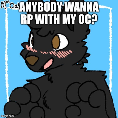 Rp anyone?? | ANYBODY WANNA RP WITH MY OC? | image tagged in furry,roleplaying,furries | made w/ Imgflip meme maker
