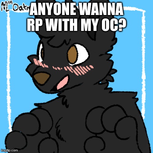 Rp anyone? | ANYONE WANNA RP WITH MY OC? | image tagged in furry,roleplaying | made w/ Imgflip meme maker
