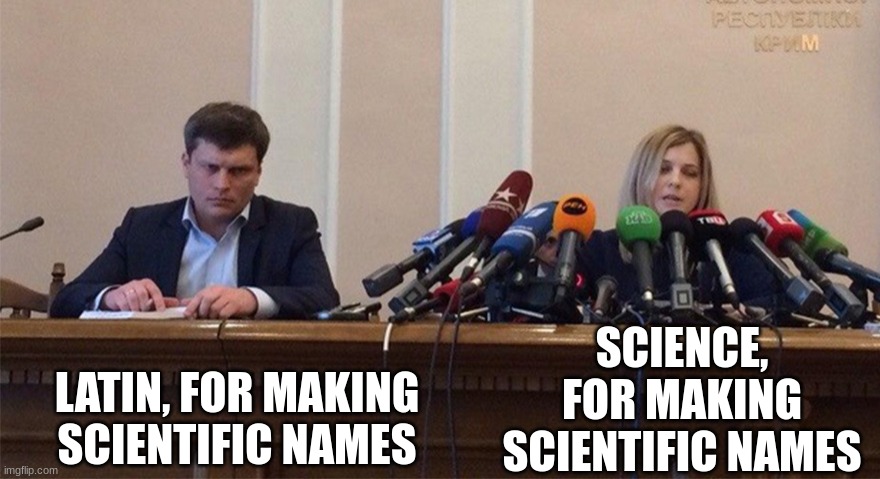 most scientific names come from latn | LATIN, FOR MAKING SCIENTIFIC NAMES; SCIENCE, FOR MAKING SCIENTIFIC NAMES | image tagged in man and woman microphone,barney will eat all of your delectable biscuits,oh wow are you actually reading these tags | made w/ Imgflip meme maker
