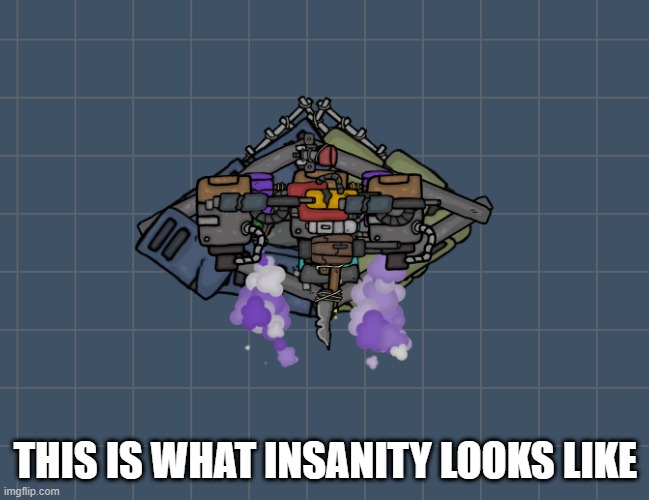this is mine btw | THIS IS WHAT INSANITY LOOKS LIKE | image tagged in this,is,what,online gaming,insanity,totally looks like | made w/ Imgflip meme maker