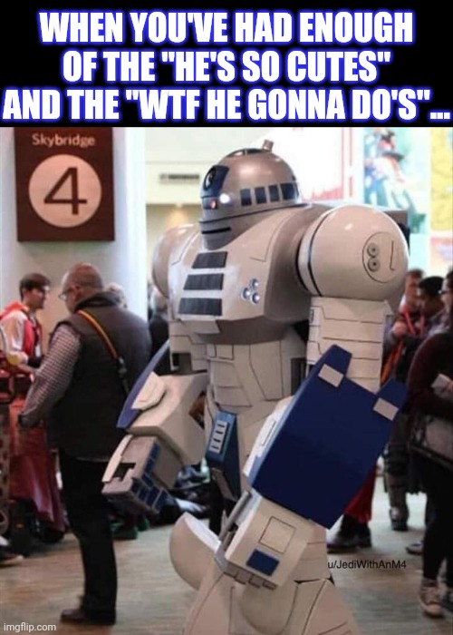 R2d2 on steroids | WHEN YOU'VE HAD ENOUGH OF THE "HE'S SO CUTES" AND THE "WTF HE GONNA DO'S"... | image tagged in r2d2,star wars,giant,robot | made w/ Imgflip meme maker