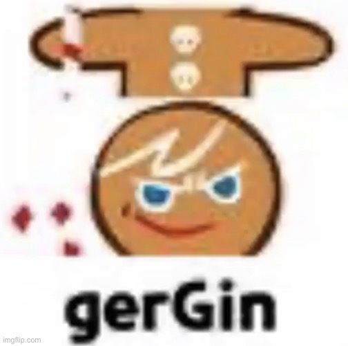 gerGin | image tagged in gergin | made w/ Imgflip meme maker