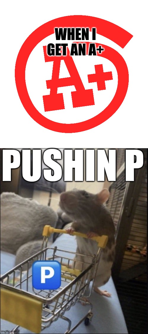Pushin P | WHEN I GET AN A+; PUSHIN P | image tagged in pushin p | made w/ Imgflip meme maker