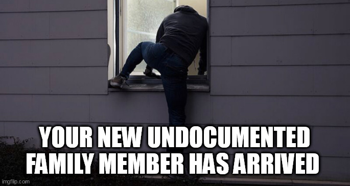 Guess who | YOUR NEW UNDOCUMENTED FAMILY MEMBER HAS ARRIVED | image tagged in guess who | made w/ Imgflip meme maker