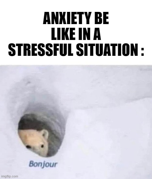 Anxiety be like | ANXIETY BE LIKE IN A STRESSFUL SITUATION : | image tagged in bonjour,anxiety | made w/ Imgflip meme maker