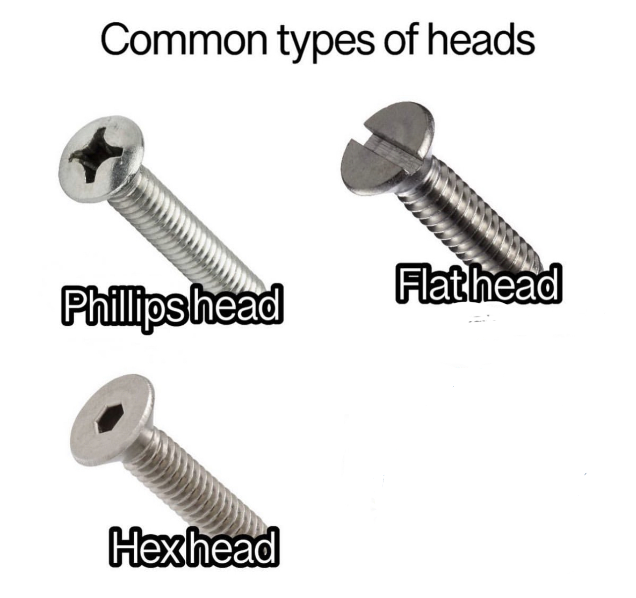 High Quality Types of heads Blank Meme Template