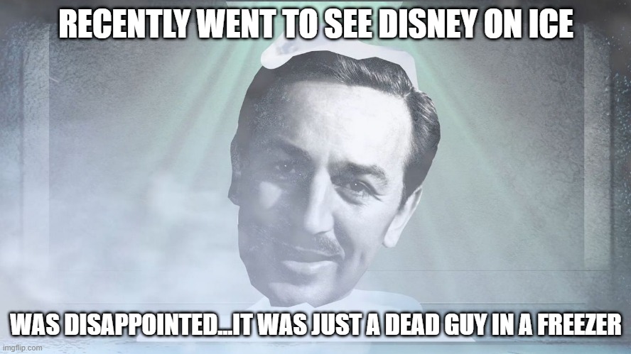 Ooooh That's Cold | RECENTLY WENT TO SEE DISNEY ON ICE; WAS DISAPPOINTED...IT WAS JUST A DEAD GUY IN A FREEZER | image tagged in disney,dark humor | made w/ Imgflip meme maker