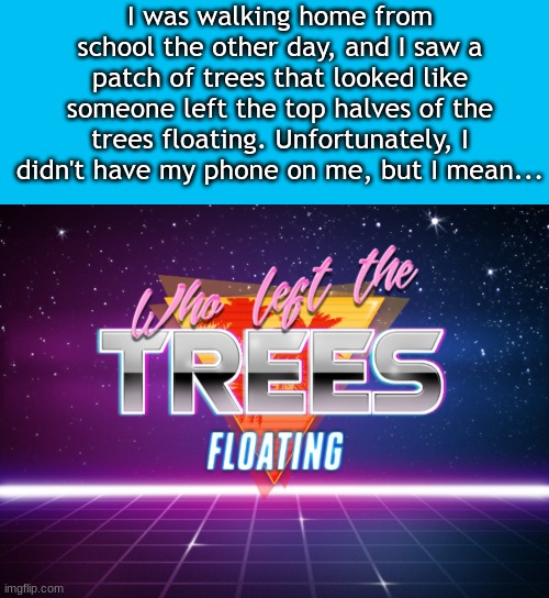 I was walking home from school the other day, and I saw a patch of trees that looked like someone left the top halves of the trees floating. Unfortunately, I didn't have my phone on me, but I mean... | image tagged in memes,blank transparent square,wtf | made w/ Imgflip meme maker