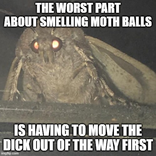 Smell Em | THE WORST PART ABOUT SMELLING MOTH BALLS; IS HAVING TO MOVE THE DICK OUT OF THE WAY FIRST | image tagged in moth lamp | made w/ Imgflip meme maker