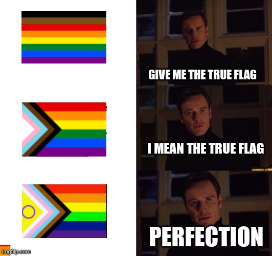 more inclusive for all | GIVE ME THE TRUE FLAG; I MEAN THE TRUE FLAG; PERFECTION | image tagged in perfection,lgbtq | made w/ Imgflip meme maker