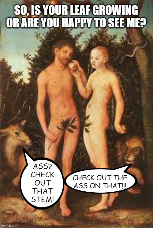 It's Dirty in the Garden | SO, IS YOUR LEAF GROWING OR ARE YOU HAPPY TO SEE ME? ASS? CHECK OUT THAT STEM! CHECK OUT THE ASS ON THAT!!! | image tagged in adam and eve | made w/ Imgflip meme maker