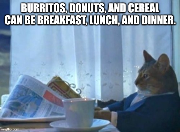 I Should Buy A Boat Cat | BURRITOS, DONUTS, AND CEREAL CAN BE BREAKFAST, LUNCH, AND DINNER. | image tagged in memes,i should buy a boat cat | made w/ Imgflip meme maker