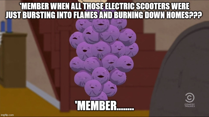 Member Berries Meme | 'MEMBER WHEN ALL THOSE ELECTRIC SCOOTERS WERE JUST BURSTING INTO FLAMES AND BURNING DOWN HOMES??? 'MEMBER........ | image tagged in memes,member berries | made w/ Imgflip meme maker