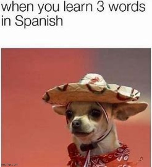 me kno spanicc | made w/ Imgflip meme maker