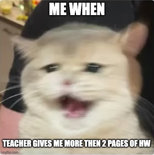 I can relate to this on an extreme level |  ME WHEN; TEACHER GIVES ME MORE THEN 2 PAGES OF HW | image tagged in cat,solidarity,teacher,memes,homework | made w/ Imgflip meme maker