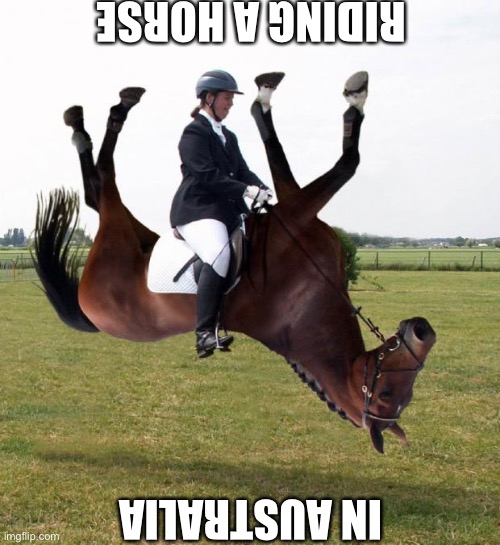 Horse upside down | RIDING A HORSE; IN AUSTRALIA | image tagged in horse upside down,australia | made w/ Imgflip meme maker