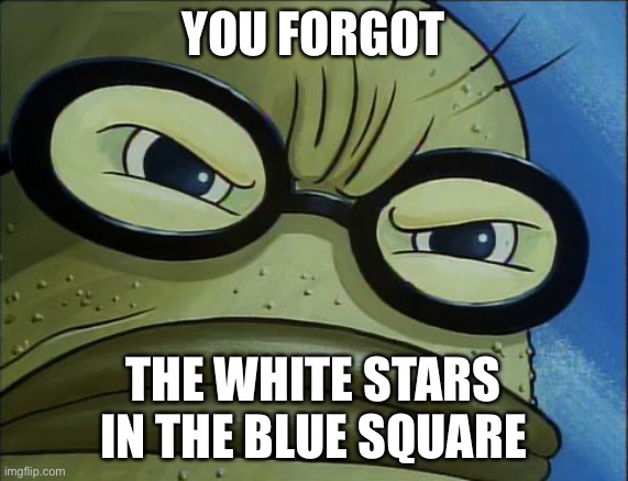 You Forgot the Pickles | YOU FORGOT THE WHITE STARS IN THE BLUE SQUARE | image tagged in you forgot the pickles | made w/ Imgflip meme maker