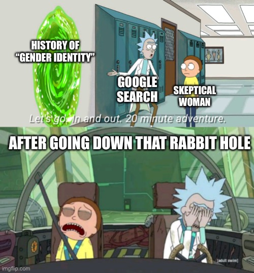 20 minute adventure rick morty | HISTORY OF “GENDER IDENTITY”; GOOGLE SEARCH; SKEPTICAL WOMAN; AFTER GOING DOWN THAT RABBIT HOLE | image tagged in 20 minute adventure rick morty | made w/ Imgflip meme maker