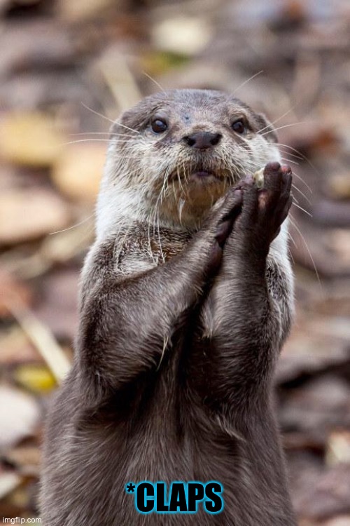 Slow-Clap Otter | *CLAPS | image tagged in slow-clap otter | made w/ Imgflip meme maker
