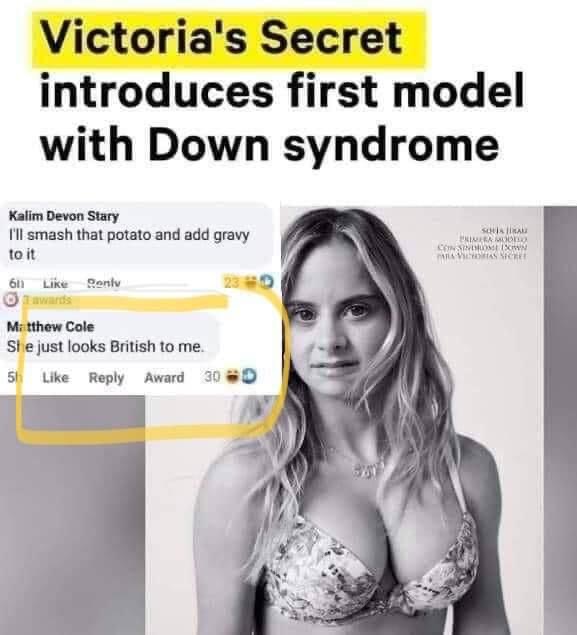 Victoria’s Secret Down syndrome mode Blank Meme Template