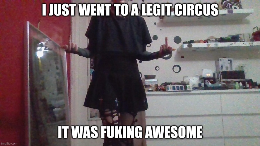 I JUST WENT TO A LEGIT CIRCUS; IT WAS FUKING AWESOME | made w/ Imgflip meme maker