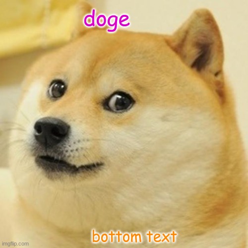 Doge | doge; bottom text | image tagged in memes,doge | made w/ Imgflip meme maker