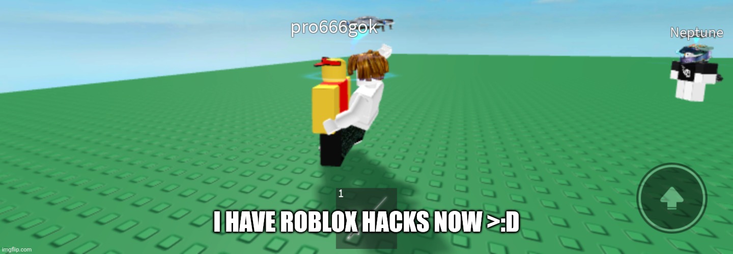 Roblox Exploits Memes GIF
