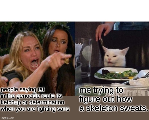 Woman Yelling At Cat | people saying tat in the genocide route its ketchup or determination when you are fighting sans; me trying to figure out how a skeleton sweats. | image tagged in memes,woman yelling at cat | made w/ Imgflip meme maker