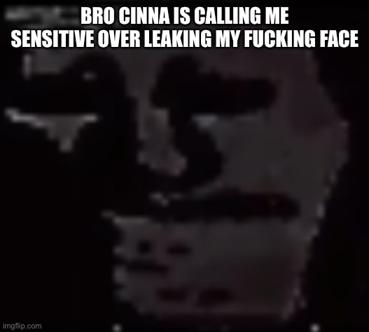 Which bitch had the idea to give them owner | BRO CINNA IS CALLING ME SENSITIVE OVER LEAKING MY FUCKING FACE | image tagged in trollge | made w/ Imgflip meme maker