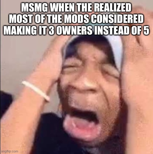 Let’s just be glad we got 5 and that the update is still correctable if we behave well enough | MSMG WHEN THE REALIZED MOST OF THE MODS CONSIDERED MAKING IT 3 OWNERS INSTEAD OF 5 | image tagged in flightreacts crying | made w/ Imgflip meme maker