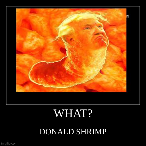 Donald Shrimp | image tagged in funny,demotivationals | made w/ Imgflip demotivational maker