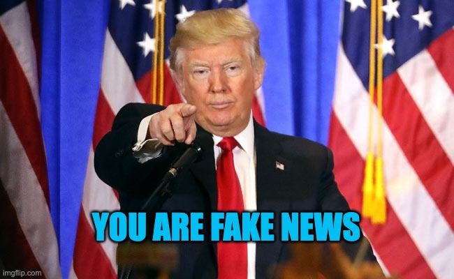 You Are Fake News | YOU ARE FAKE NEWS | image tagged in you are fake news | made w/ Imgflip meme maker