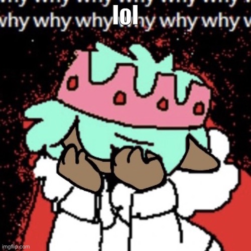 w h y | lol | image tagged in w h y | made w/ Imgflip meme maker