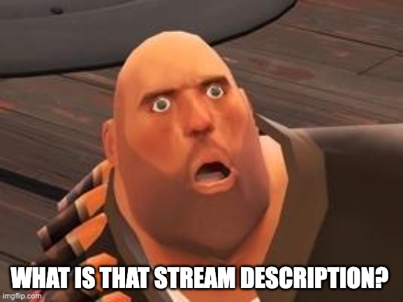 ayo- | WHAT IS THAT STREAM DESCRIPTION? | image tagged in tf2 heavy,memes,unfunny | made w/ Imgflip meme maker