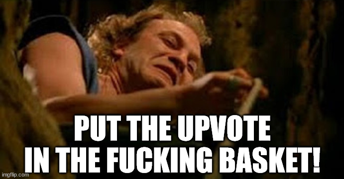 PUT THE UPVOTE
IN THE FUCKING BASKET! | made w/ Imgflip meme maker