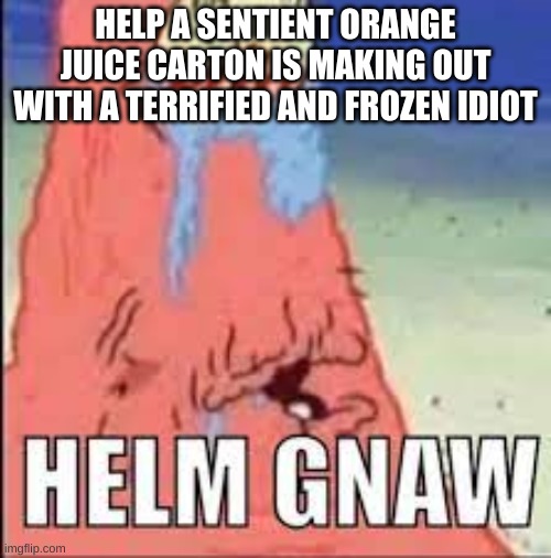 HELM GNAW | HELP A SENTIENT ORANGE JUICE CARTON IS MAKING OUT WITH A TERRIFIED AND FROZEN IDIOT | image tagged in helm gnaw | made w/ Imgflip meme maker