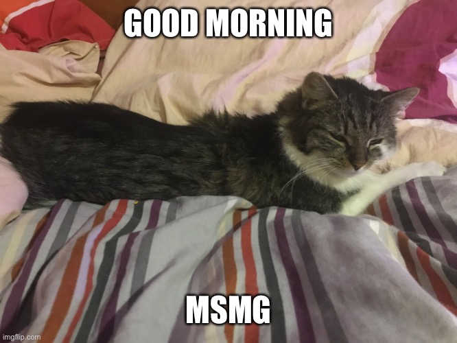 a | GOOD MORNING; MSMG | image tagged in bruhj | made w/ Imgflip meme maker