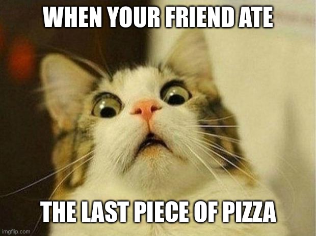 Last Piece | WHEN YOUR FRIEND ATE; THE LAST PIECE OF PIZZA | image tagged in memes,scared cat | made w/ Imgflip meme maker