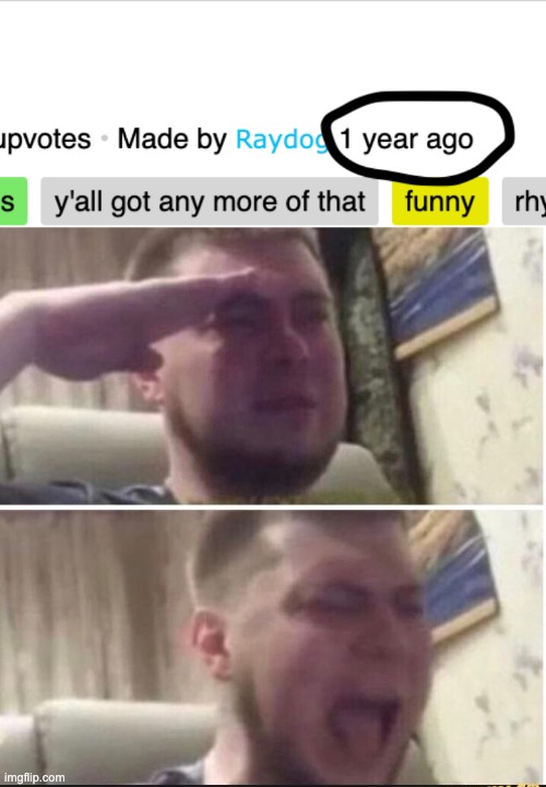 F in the chat for Raydog (this was his most 'recent' submission) | image tagged in crying salute | made w/ Imgflip meme maker