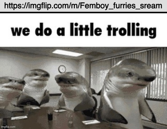 https://imgflip.com/m/Femboy_furries_sream my fellow trollicans | https://imgflip.com/m/Femboy_furries_sream | image tagged in we do a little trolling | made w/ Imgflip meme maker